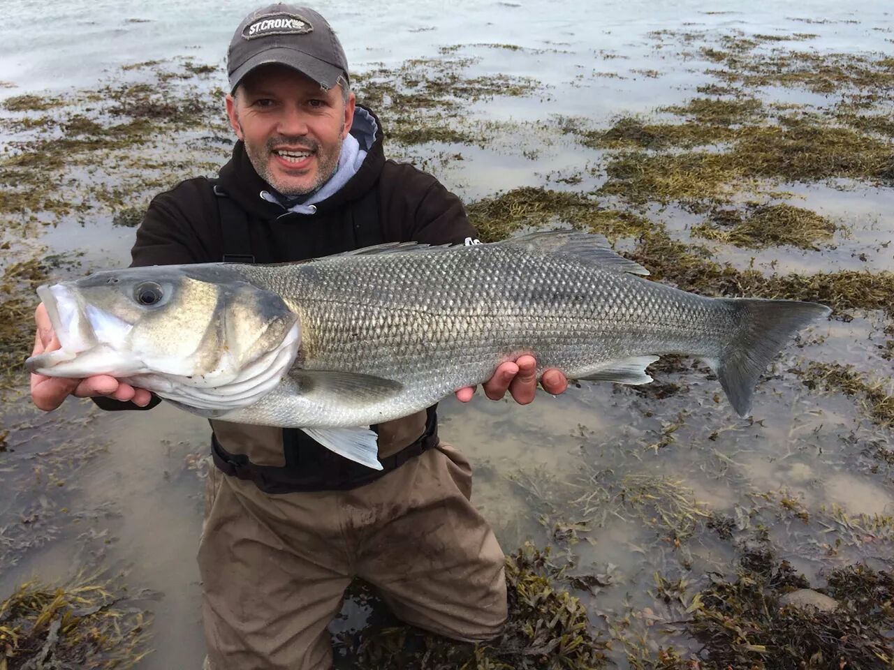 Thanks to Richard and Joe for the use of these photos. Some fish!!