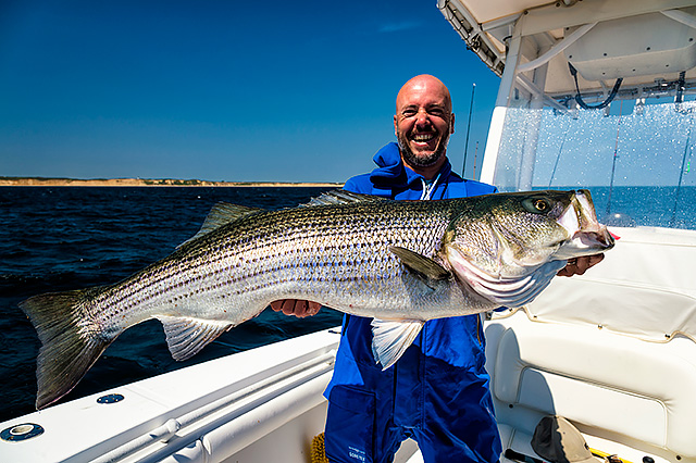 Decent striped bass taken on a regular Fiiish jig head with no issues at all.