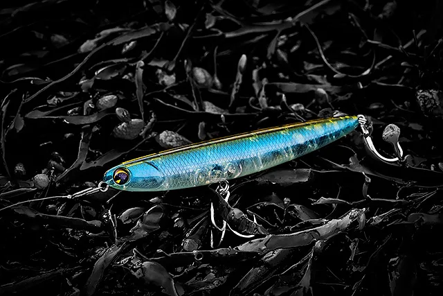 Ghost Anchovy
