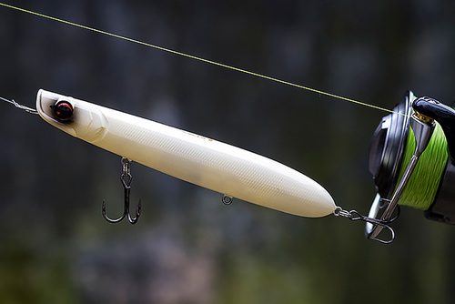 I am starting to think that this IMA Little Stik can live with the (killer)  Xorus Patchinko surface lure — Henry Gilbey