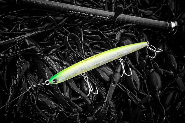 Might be barking up the wrong tree here, but I'm looking out for smaller  lures that can work like needlefish or senkos for specific situations —  Henry Gilbey