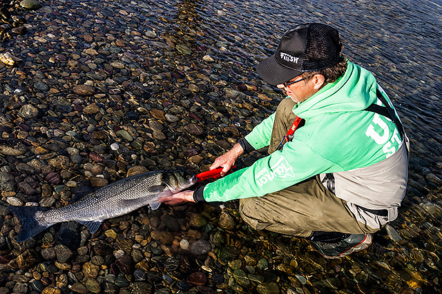 It was a very, very special experience to witness this fine bass being caught and then released.