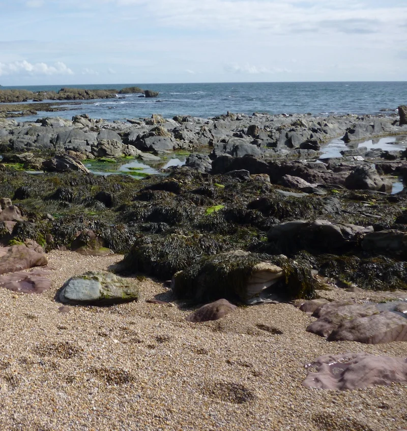 Typical bass ground in south Devon