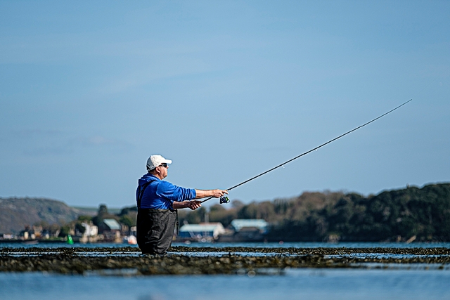 favorite skyline rod