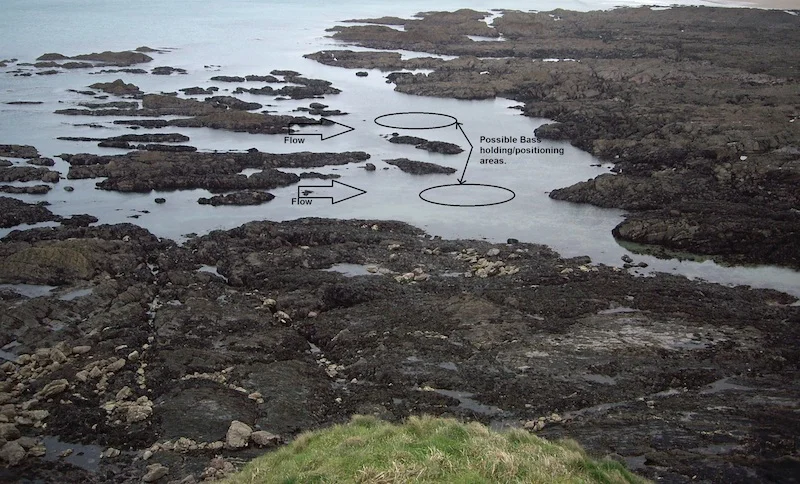 An example of a flooding and ebbing tide venue.