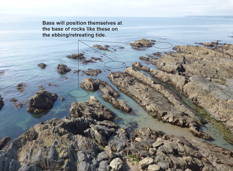 An example of an ebbing tide mark at low tide