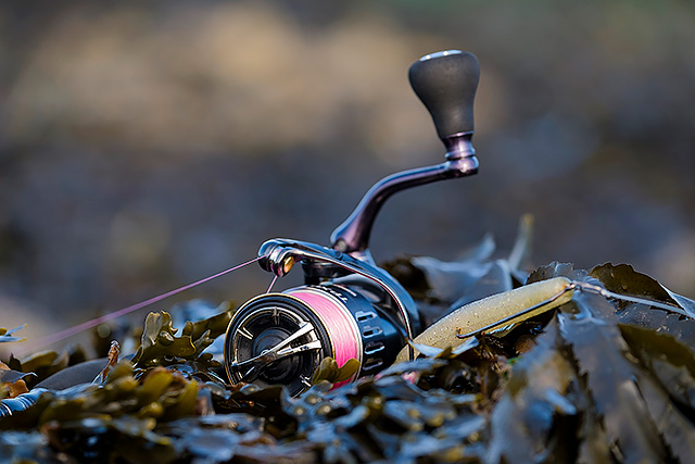 Shimano Twin Power XD C3000HG spinning reel review - not remotely