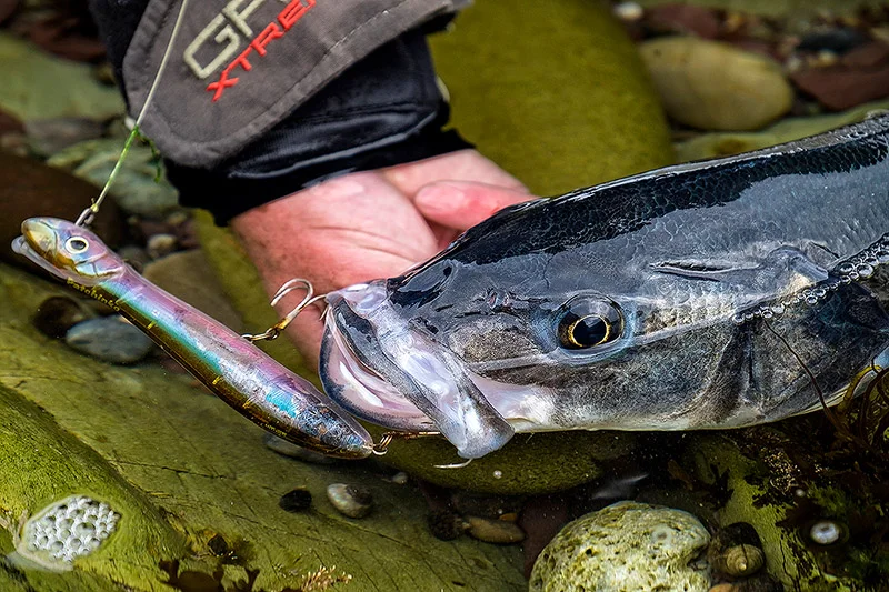 My goto bass fishing lures — Henry Gilbey