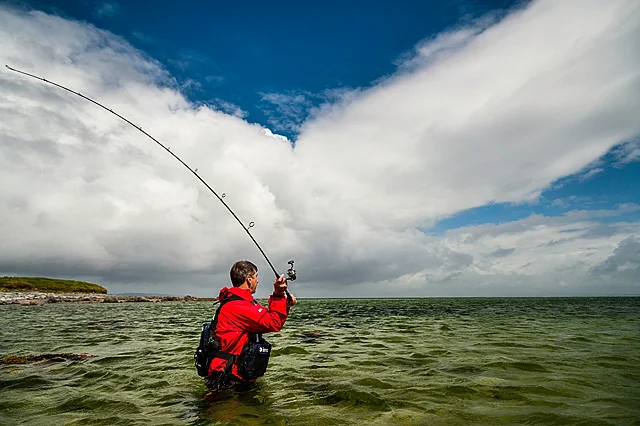 (R)D415128.jpg