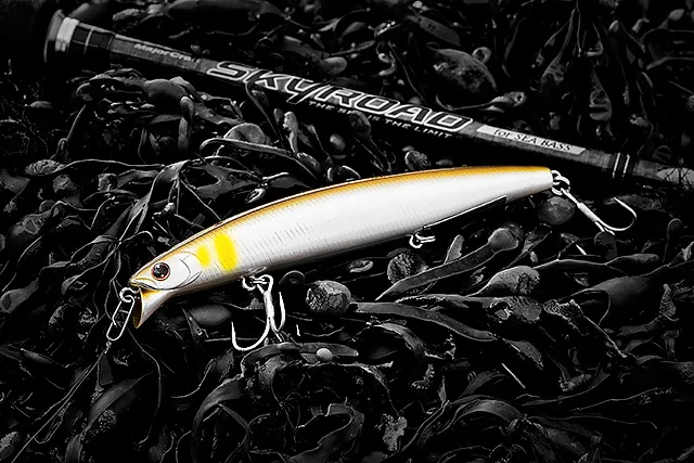 daiwa shore line shiner z vertice 120f