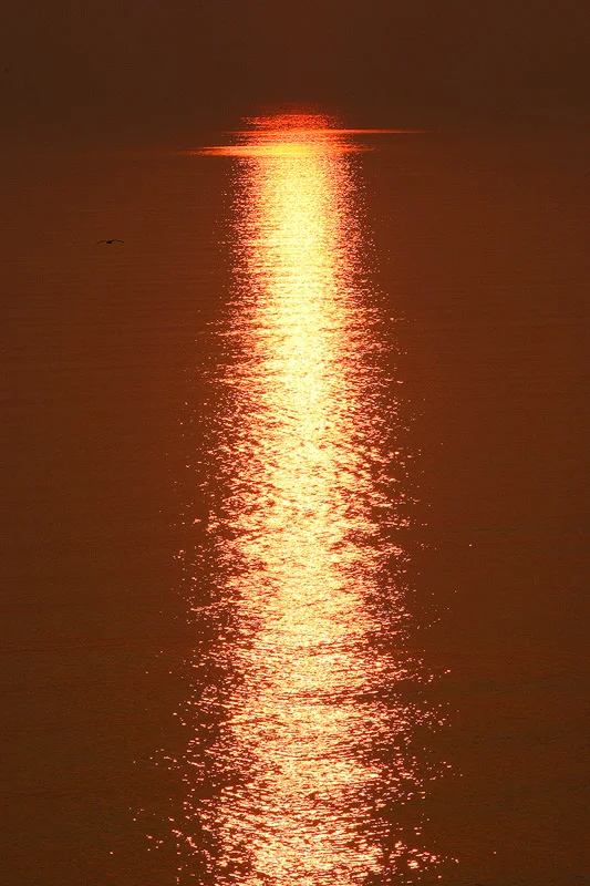 D0036, corrected.jpg