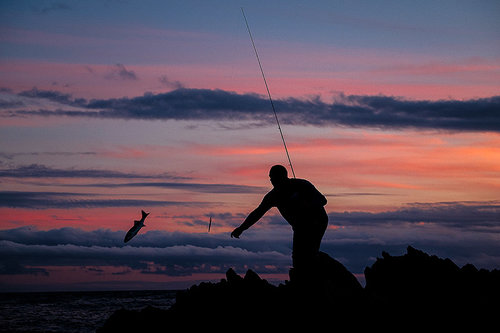 It's such fun having some time to charge around Cornwall and fish it pretty  hard — Henry Gilbey