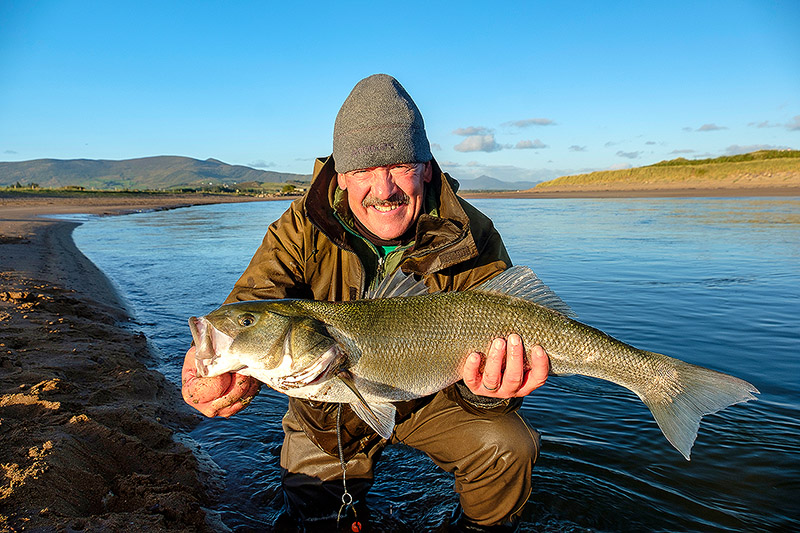 82cms of prime Kerry silver landed yesterday on one of our co-guided Ireland trips