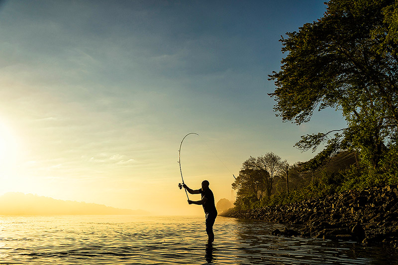 Do you know where your reel hand sits on your rod when you are fishing? —  Henry Gilbey