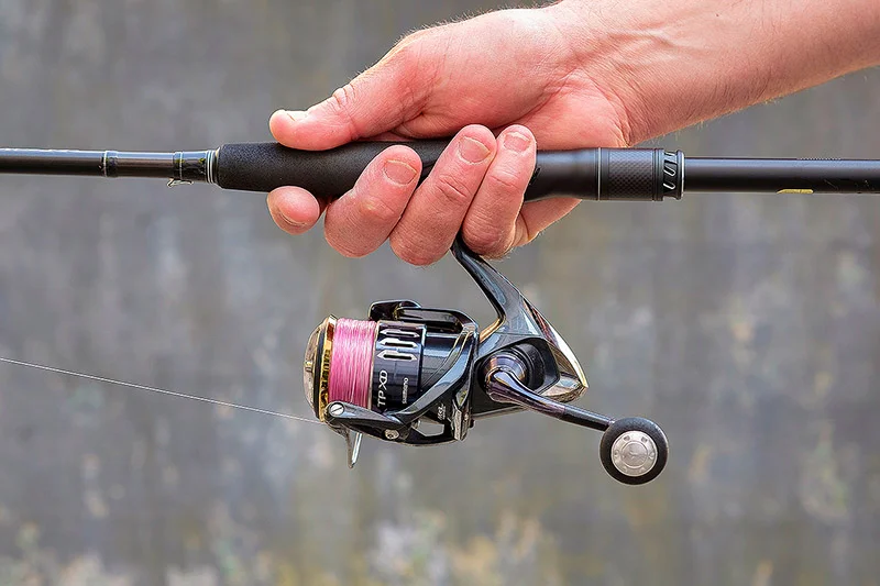 Fishing Innuendos