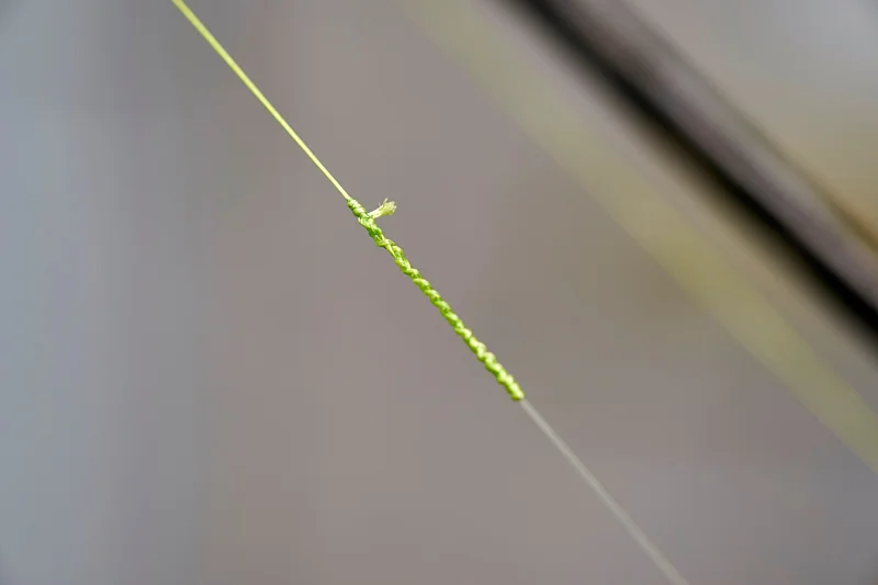 (R)D612519.jpg