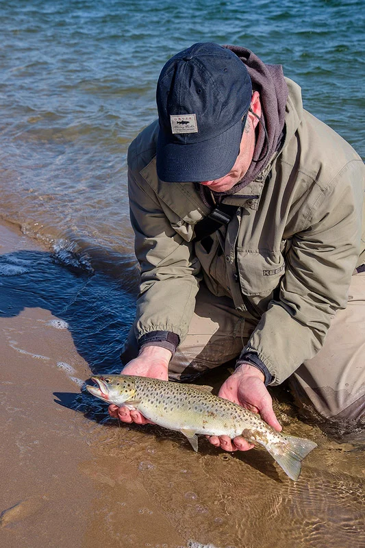 I am pretty sure this is the only sea trout I have ever seen actually landed from the shore - so far……….