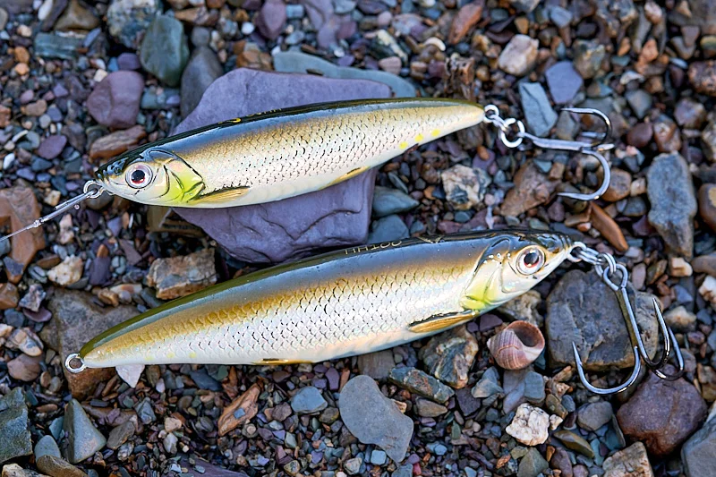 What could we learn from the Scandinavian anglers who fish in saltwater for sea trout?