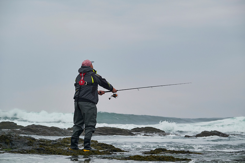 Best Surf Fishing Rods: Tested and Reviewed