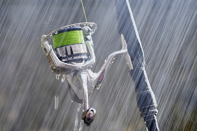 This is how I look after my spinning reels