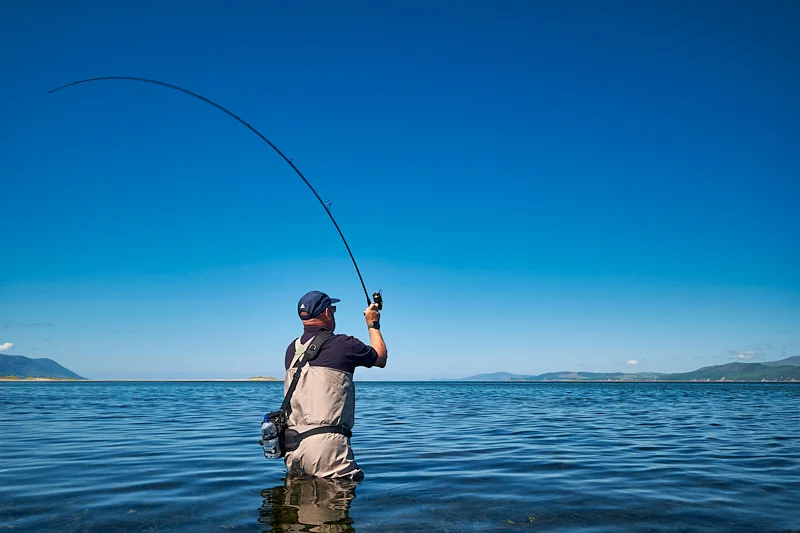 Maximus High Energy-Z 27M 9' 7-35g lure rod review - £99.98 UK price for the time being (the best sub-£100 lure rod I have come across)