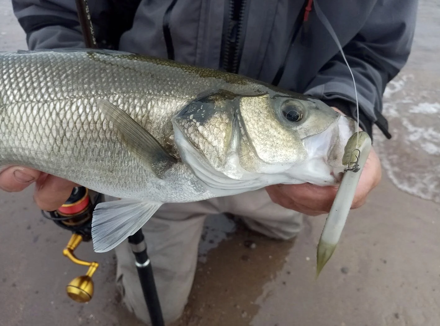 savage gear gravity stick