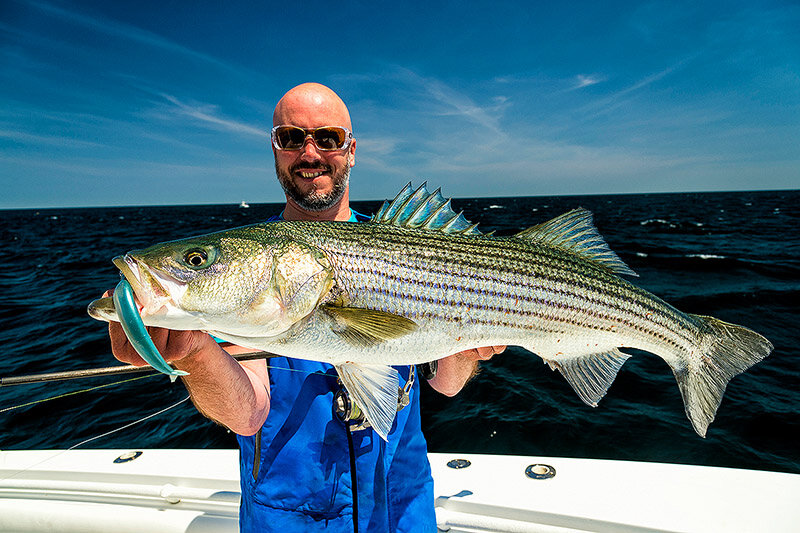 Is it the dead or dying baitfish thing that triggers a fish like bass to  hit lures on the drop? — Henry Gilbey