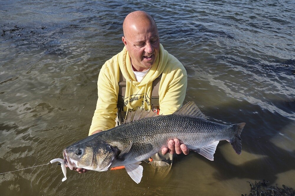 veals mail order fishing tackle