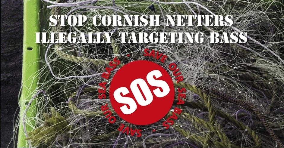 Please help, these problems don’t just go away - Stop Cornish Netters Illegally Targeting Bass