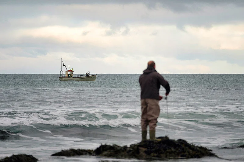 If what the new Netflix documentary “Seaspiracy” claims is anywhere close to true then it’s more a horror film than a documentary. You need to watch it