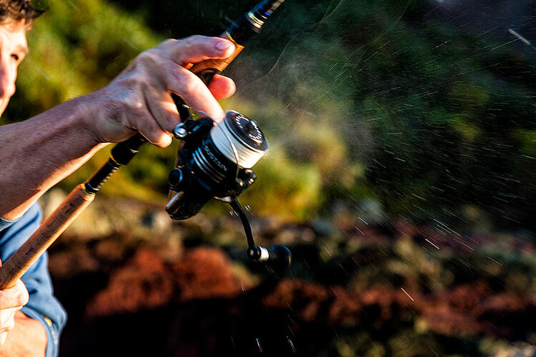 Let's talk about…………..spinning reel sizes and how confusing they are, or is  it just me? — Henry Gilbey