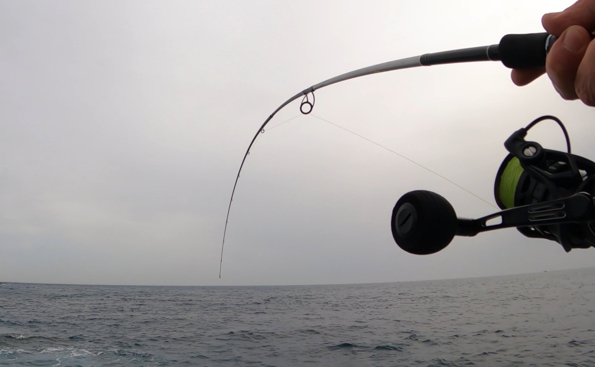 A wrasse or two a day helps your worries go away - new fishing video