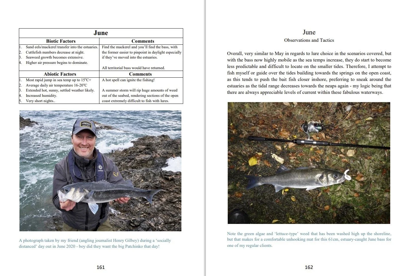 Book review: “Bass Lure Fishing - A Guide’s Perspective Volume 1”, by Marc Cowling (who I believe is currently the best writer about UK bass fishing)