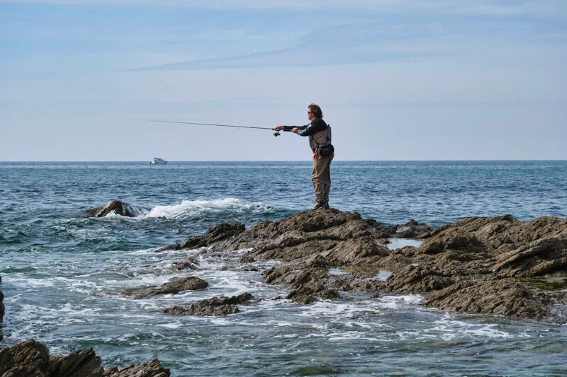 Lure rods - Major Craft — Henry Gilbey