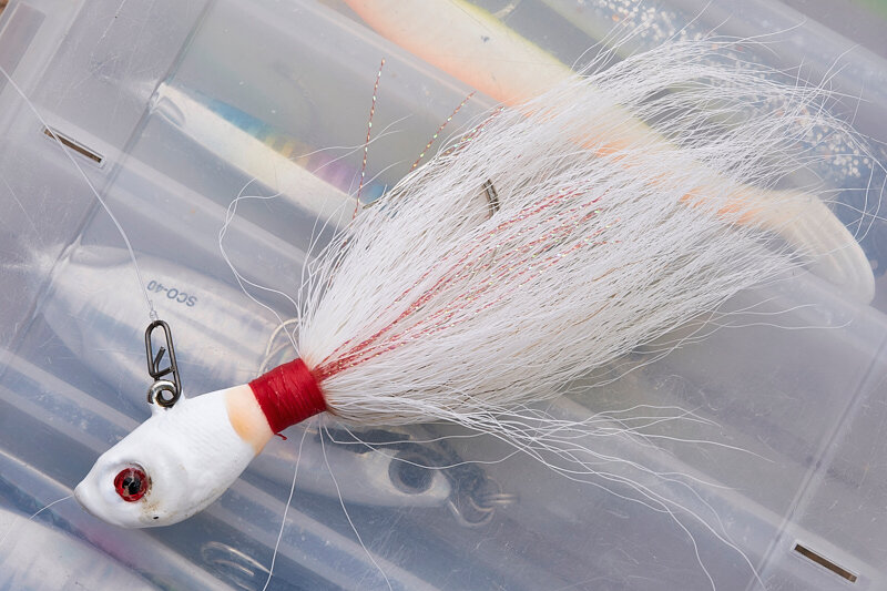 Best Soft Plastics for Bass: Must-Have Baits for 2024 - USAngler