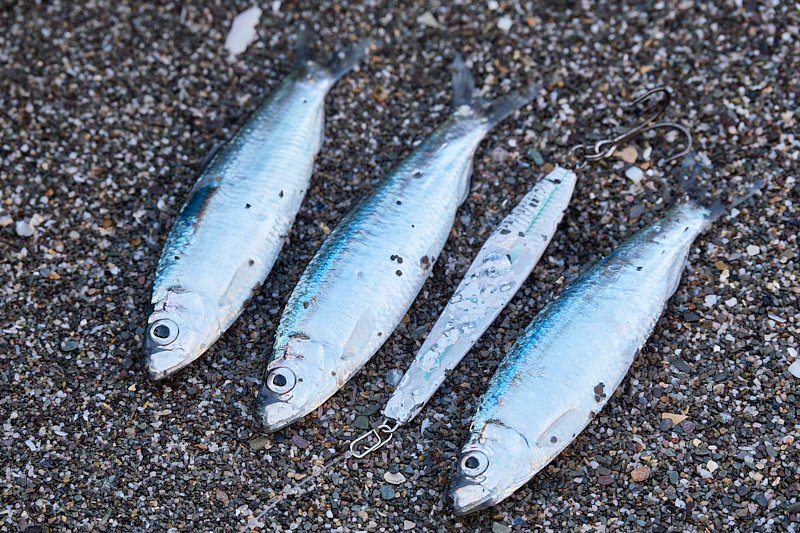 A while back I made sure to always have a long-range sprat imitation lure  in whatever lure boxes I take out with me - because it does pay off………. —  Henry Gilbey