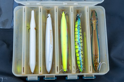 VGEBY Fishing Lure Box, Plastic Anti Lost Double Sided Lure