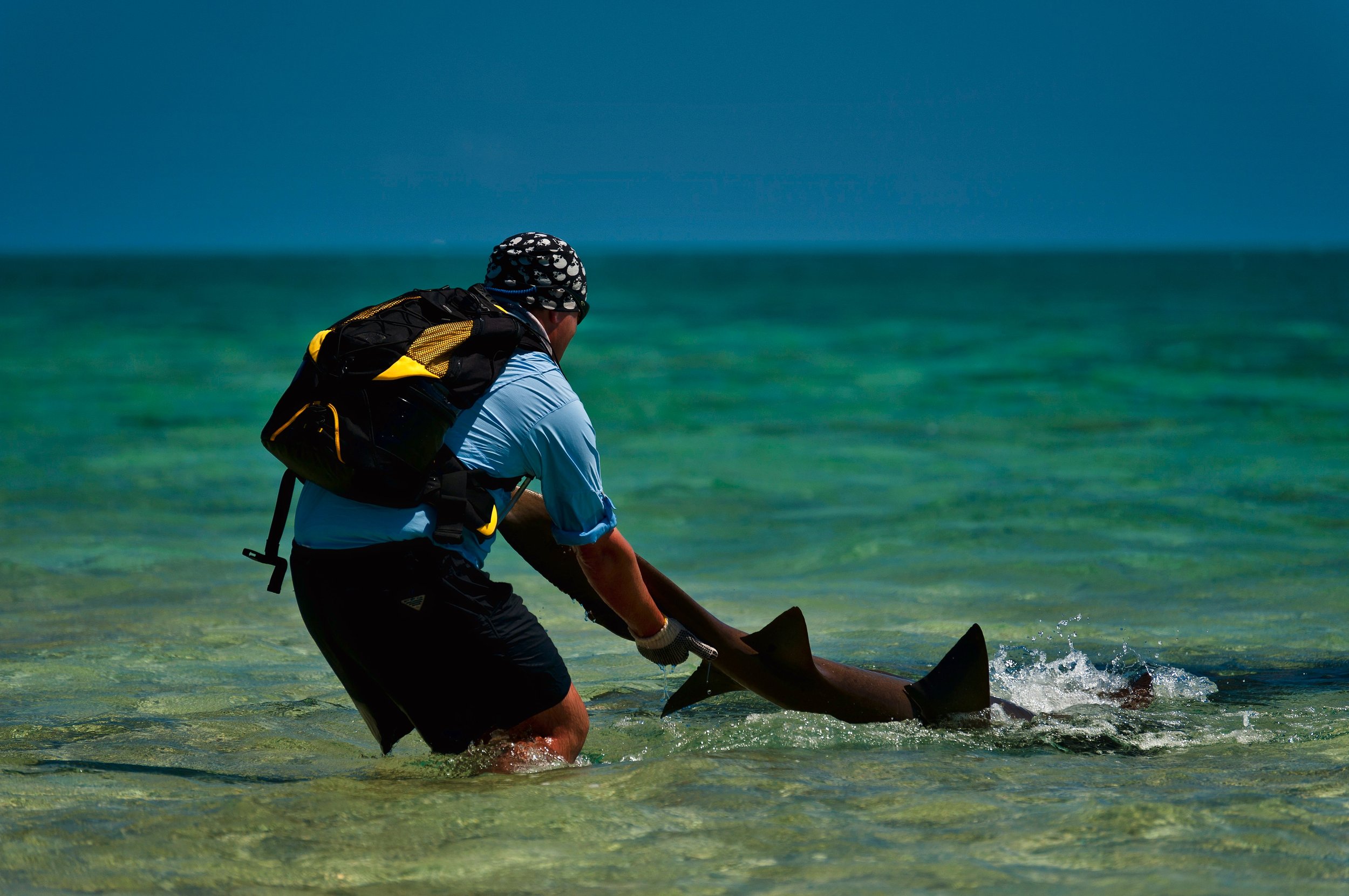 Please wear sunscreen and/or cover up when you're fishing, don't be one of  those anglers who burns themselves in the sun — Henry Gilbey