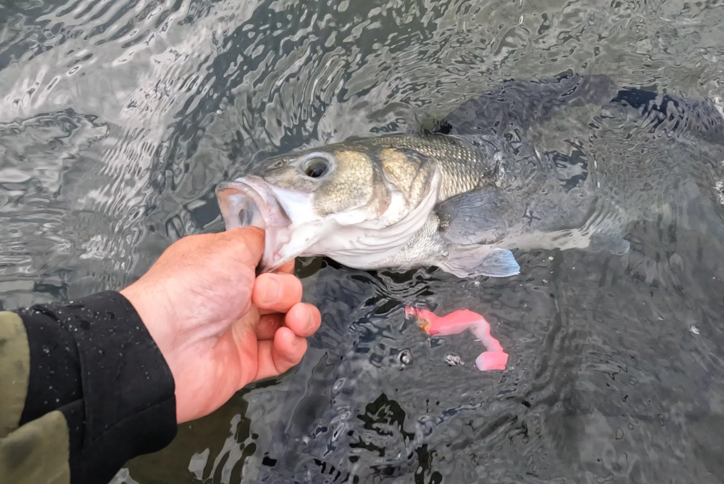 My brain isn’t wired this way! Fishing on my own, not catching, make one obvious change, start catching - why?