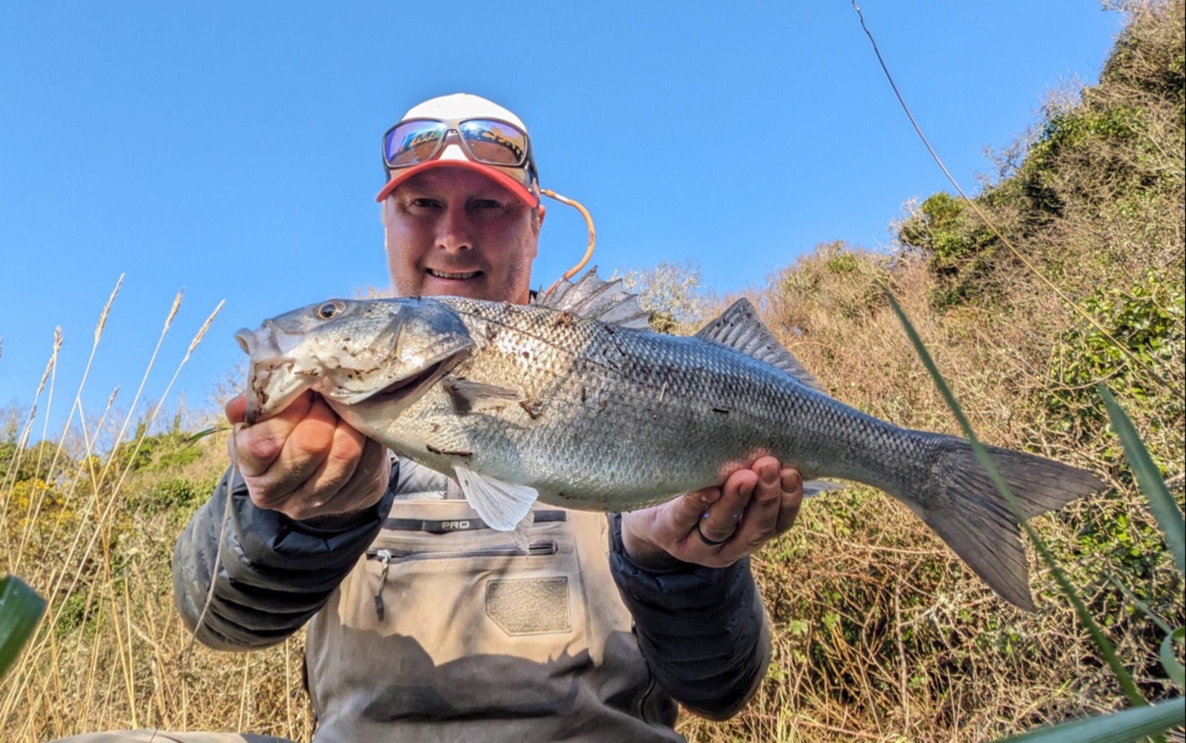 Guest blog post - Marc Cowling catching bass at this time of year by using  a soft plastic lure to essentially imitate a crab — Henry Gilbey