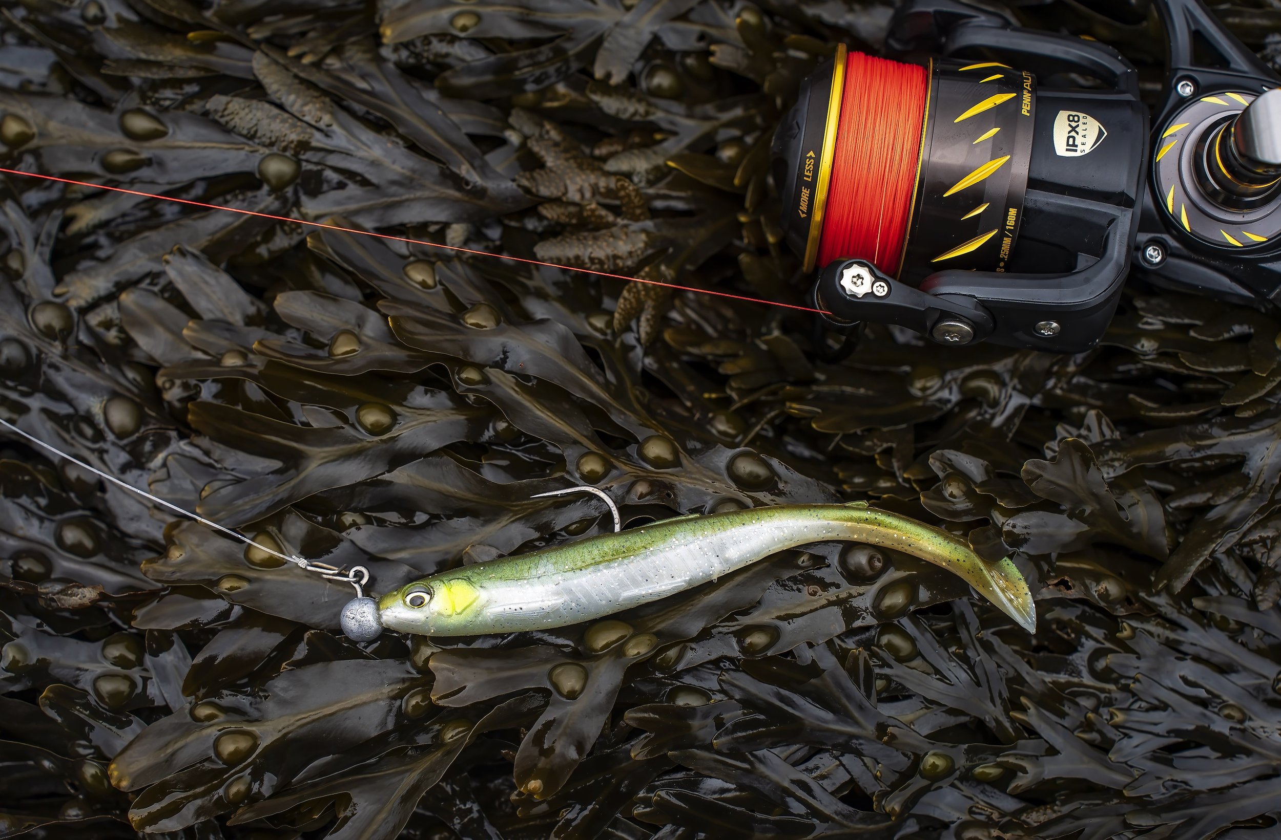 Wow these lures look good in the water when rigged like this