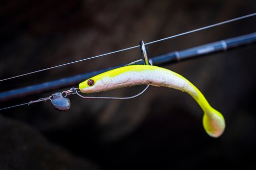 Do Fishing Lures Need Weights: Essential Tips for Better Catch
