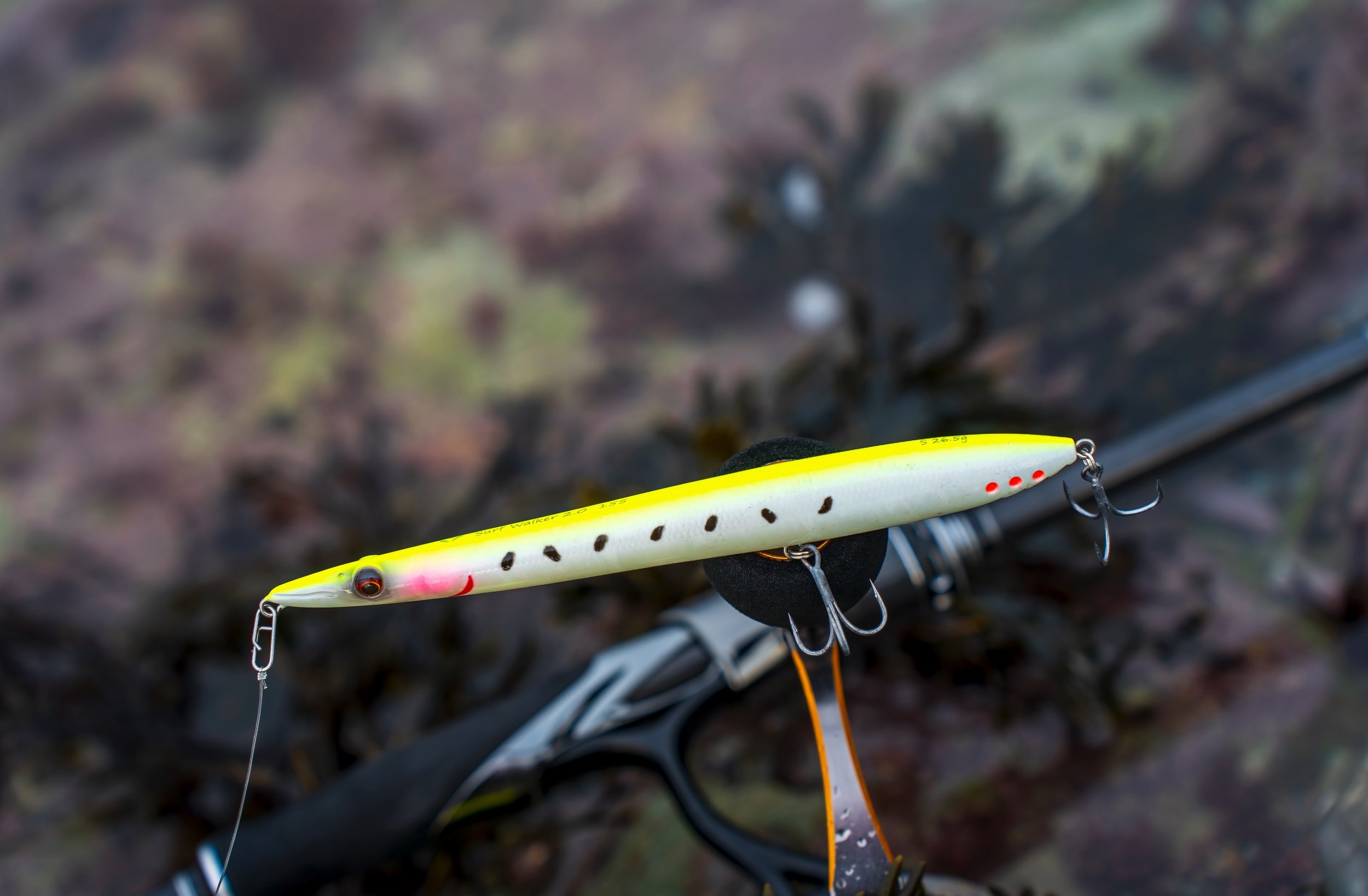 New Savage Gear Surf Walker 2.0 surface lures info/review - all