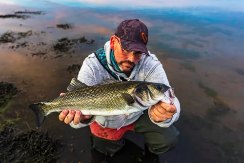 braided fishing line test 8X Braid 3 Pack, 100lb 1093yds, 180lb Test 546yds, 80lb Test 328yds : Sports & Outdoors NO FADE color technology solid braid fishing line Beyond Braid | TFUE Color:6.2:1