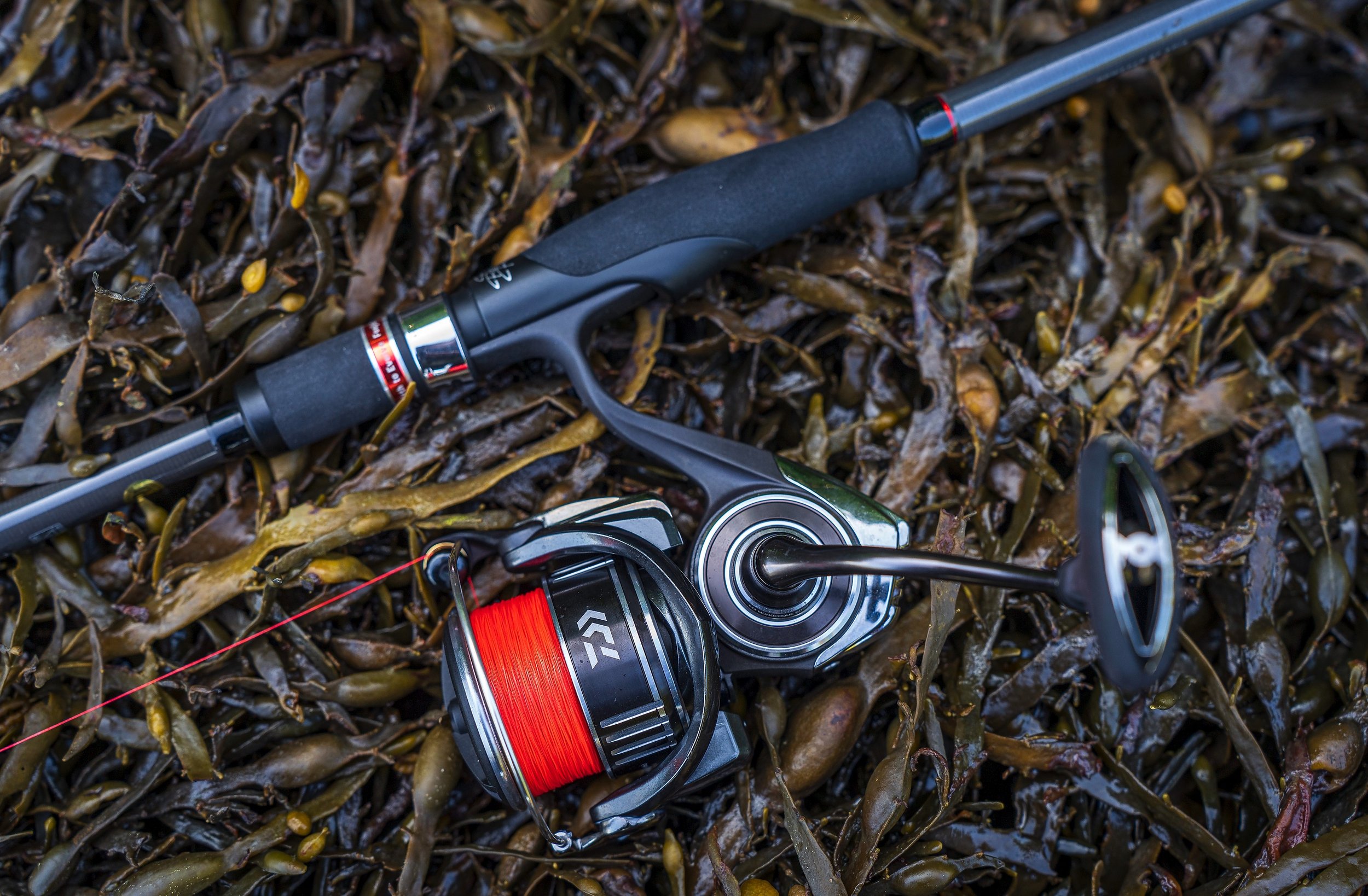 Daiwa BG MQ 4000D-XH spinning reel, around £200 - initial impressions after  a month of fishing with it — Henry Gilbey