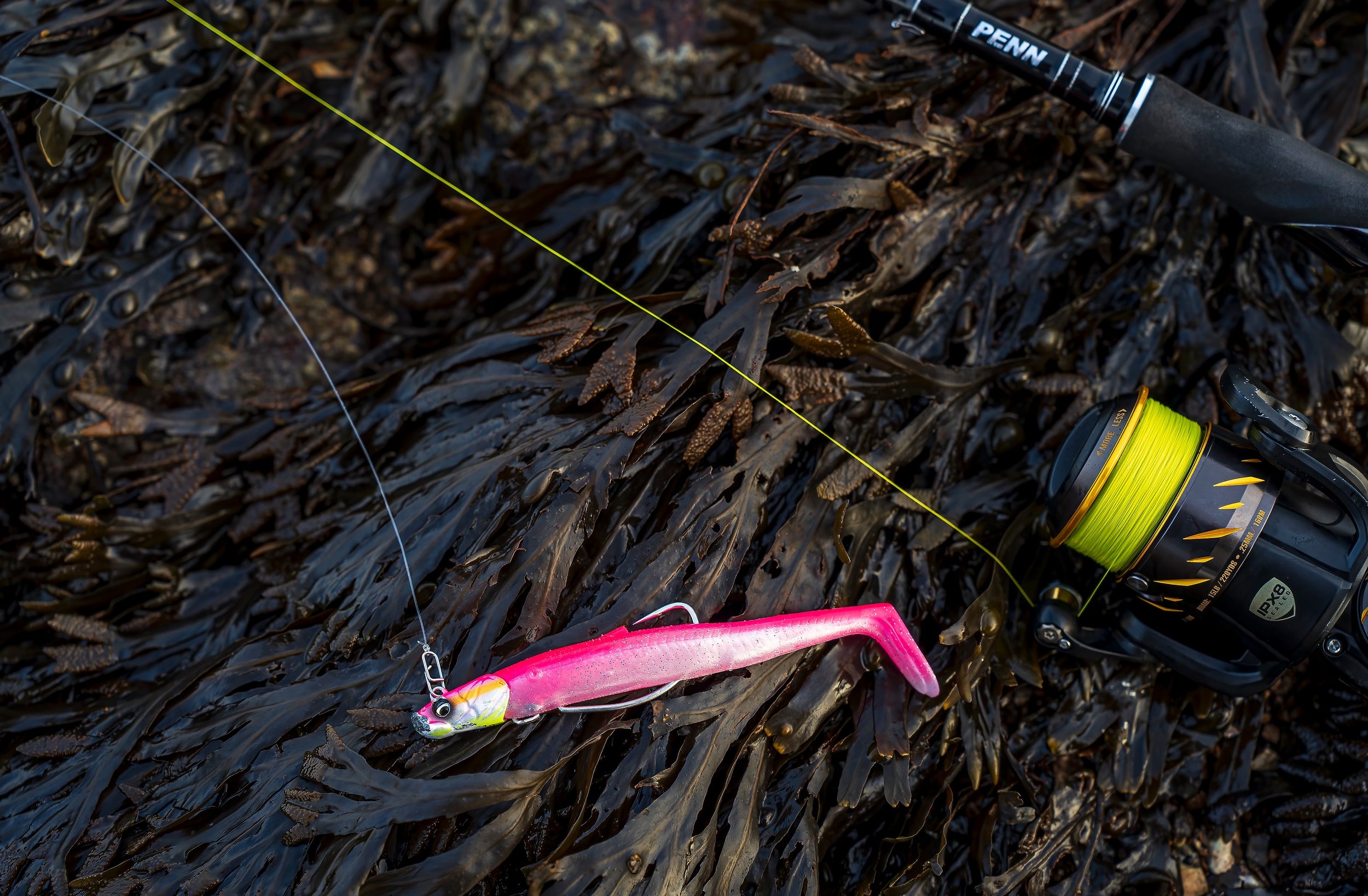 I'd sure love an inkling as to why bass seem to like pink lures in deeper  and often murkier water — Henry Gilbey