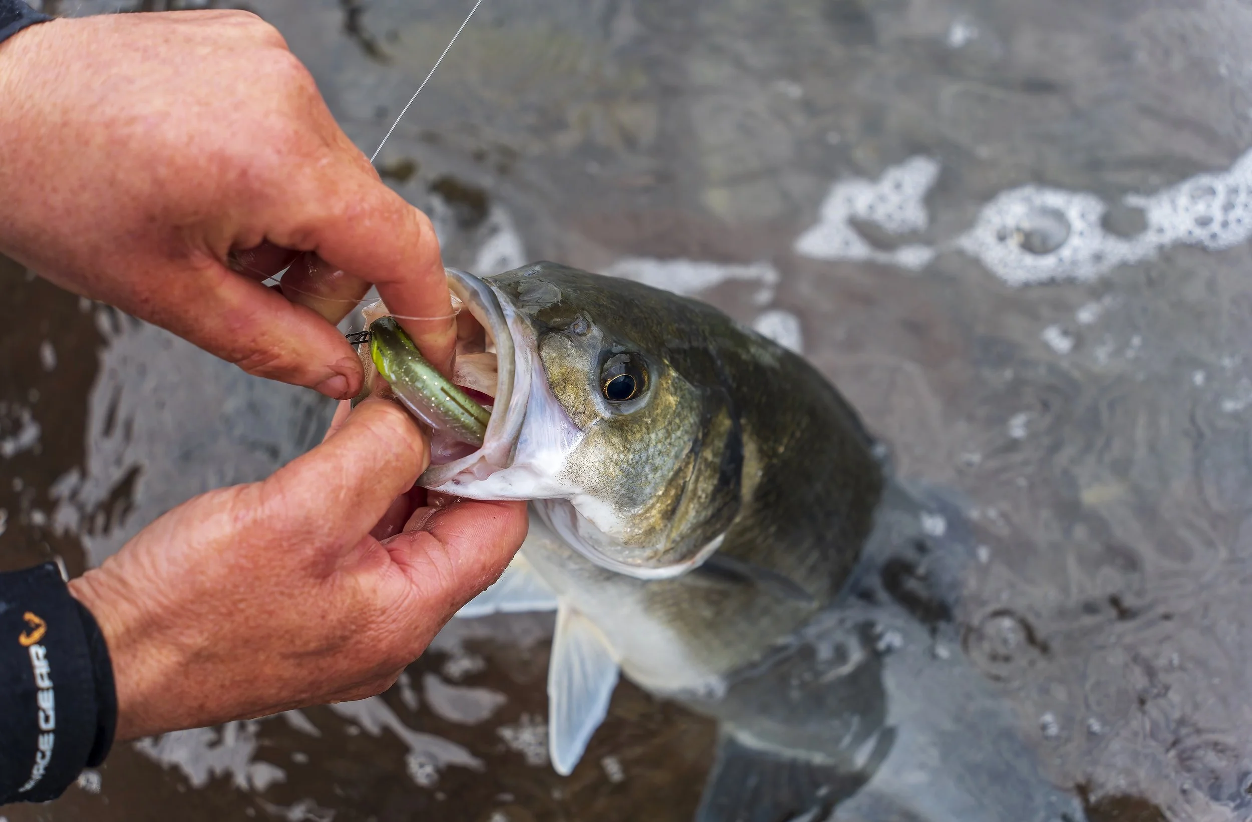 Wow these lures look good in the water when rigged like this — Henry Gilbey