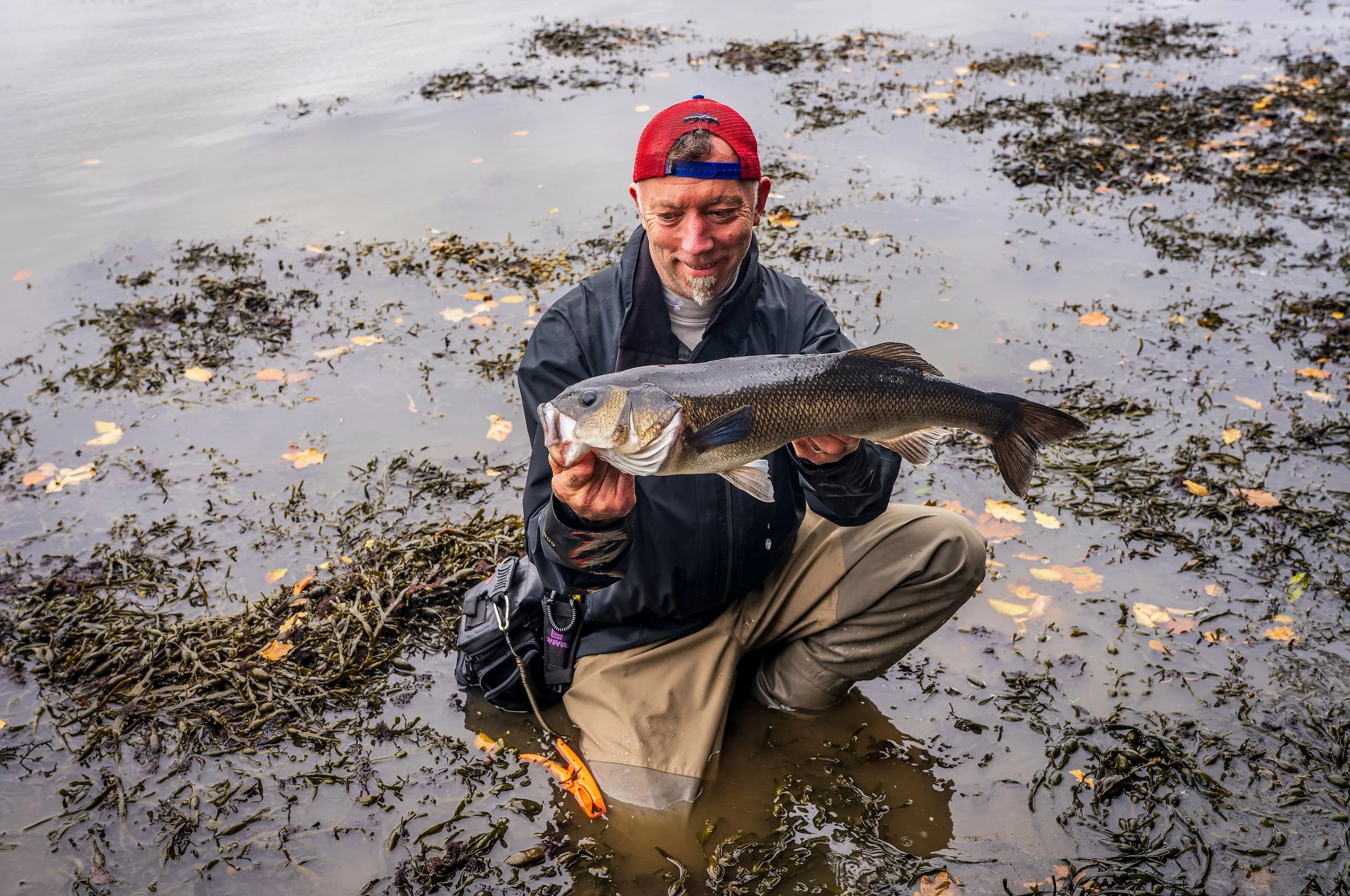 Awful conditions, but my mate got his first bass on a creature bait, lovely fish as well