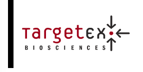 TargetEx.png