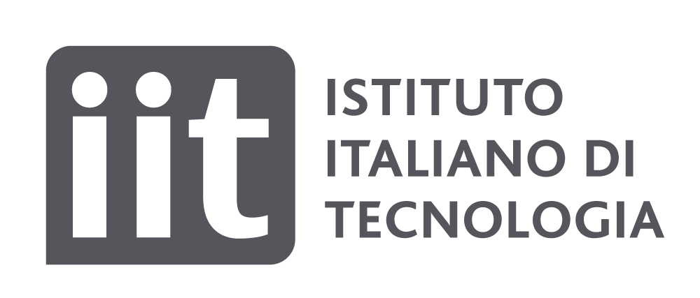 IIT-v4-logo-t2_2.png